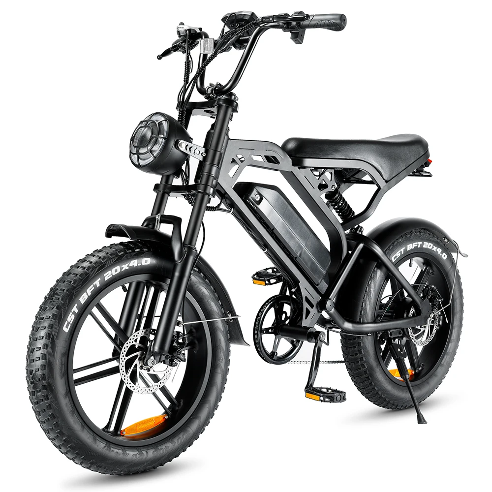 V20 Electric Bike 1000w Power, 20inch Fat Tires, 25km/h