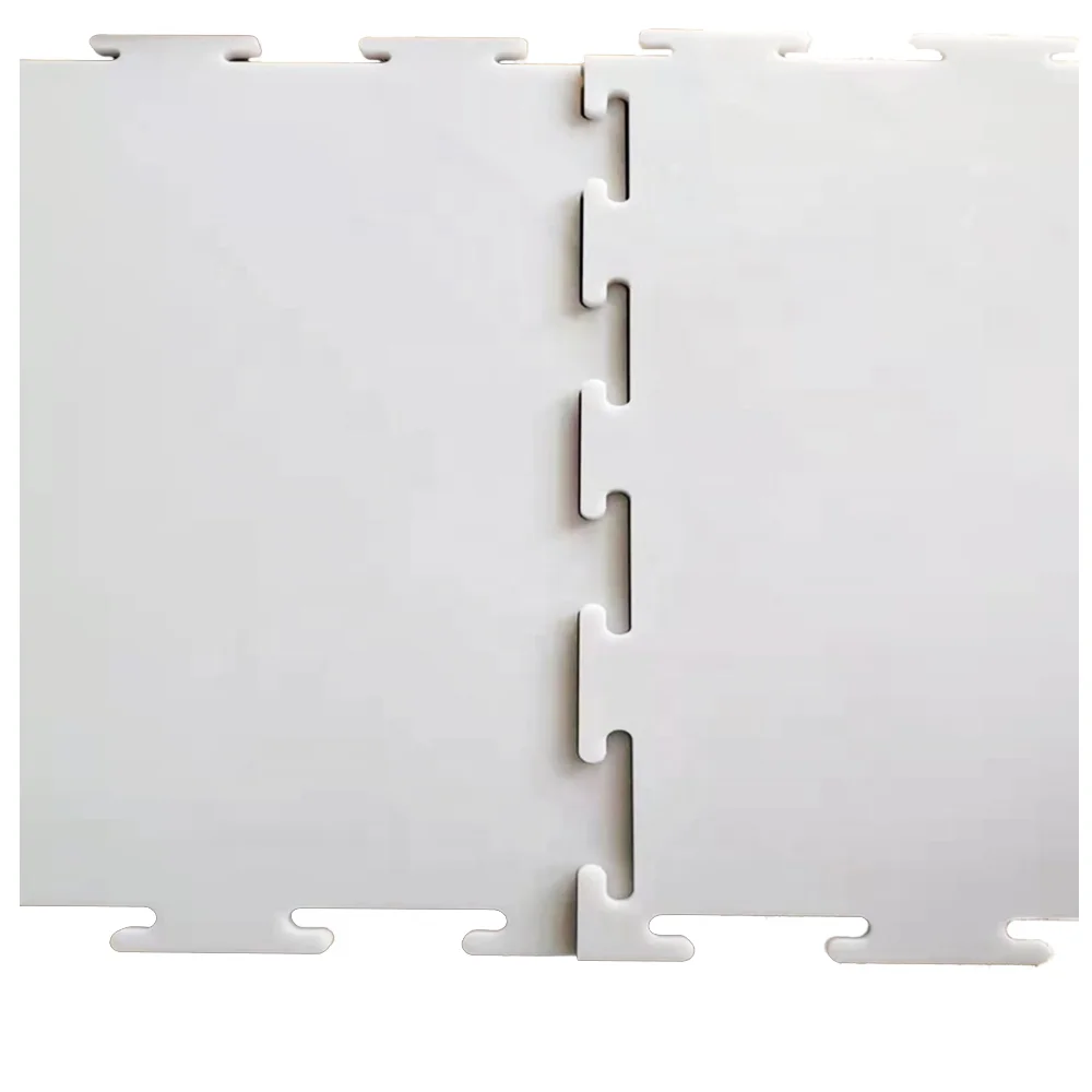 1000X2000 HDPE Material Hockey Synthetic Ice Rink Floor Plastic Ice Skate Board Sheet for Sale