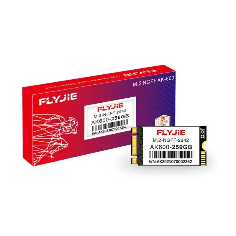 Flyjie Memory Ghost Ssd 128gb M2 2242 256GB 512GB 1TB for Laptop Components