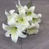 Celadon White