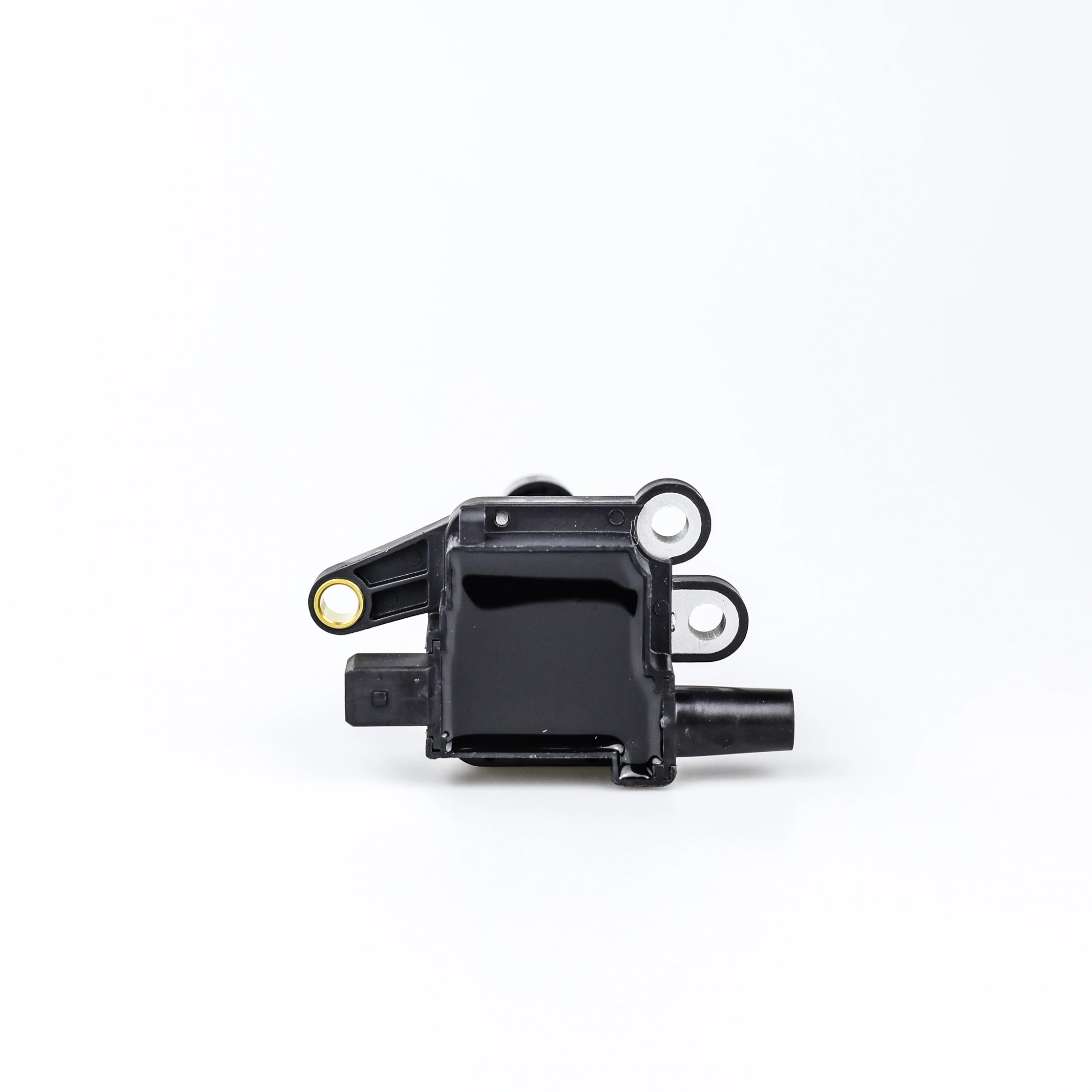 Ignition Coil - F01R00A009