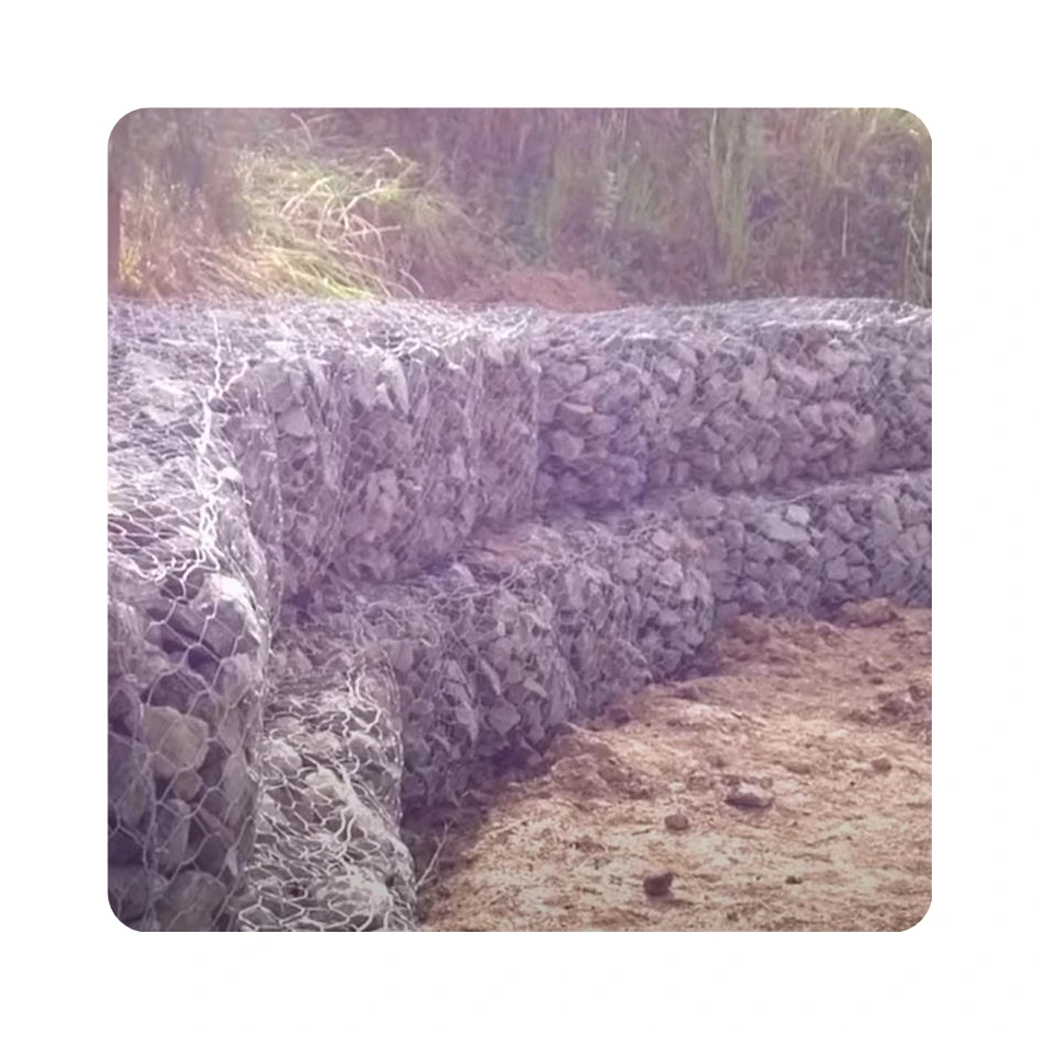 High quality hot Dipped wire mesh chain link fence for garden