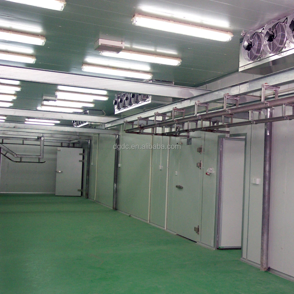 Walk in Cold Room With Low Noise Design Onion Storage Warehouse