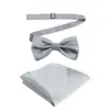 Grigio Argento