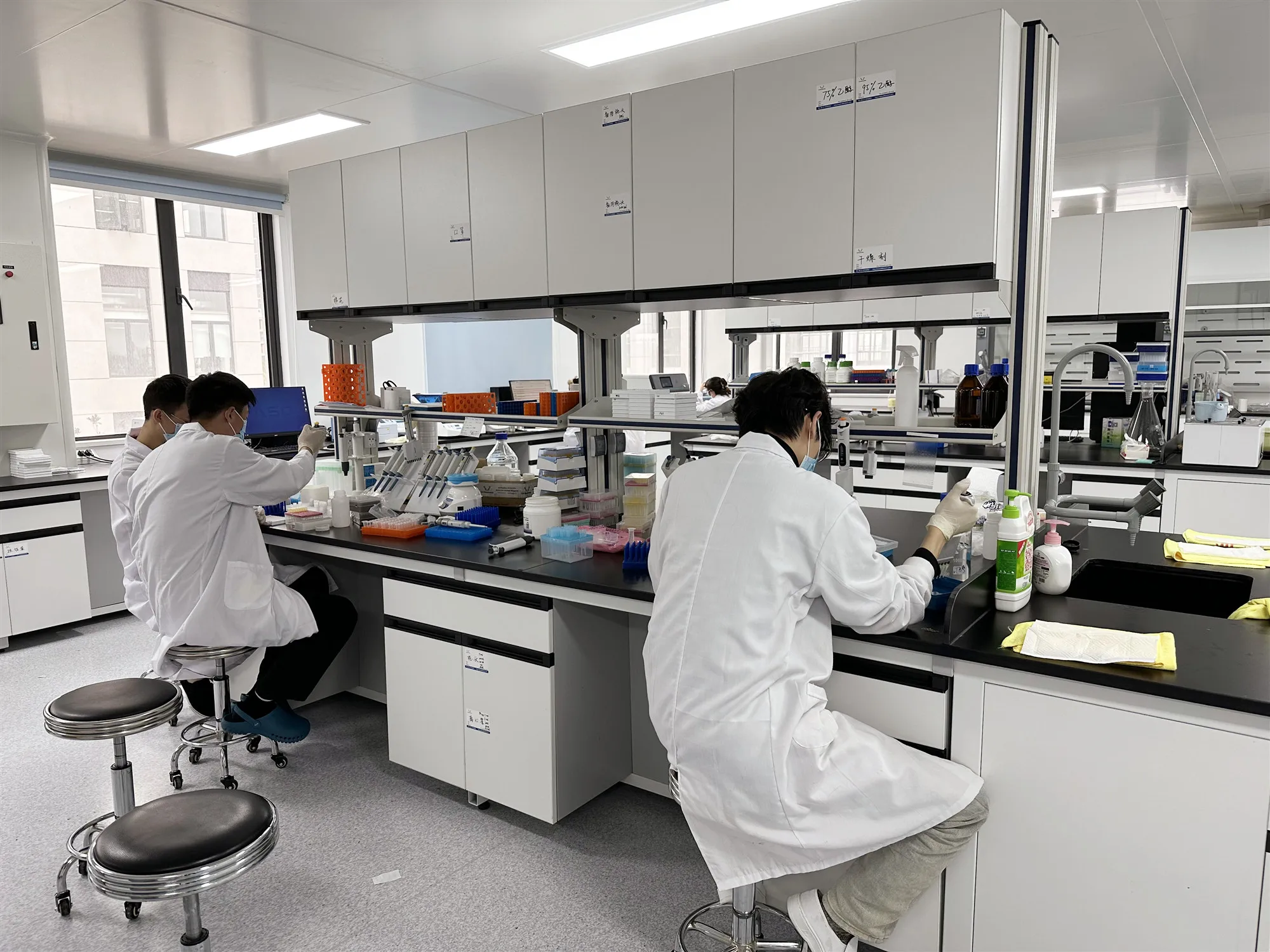 Elk (wuhan) Biotechnology Co., Ltd. 2