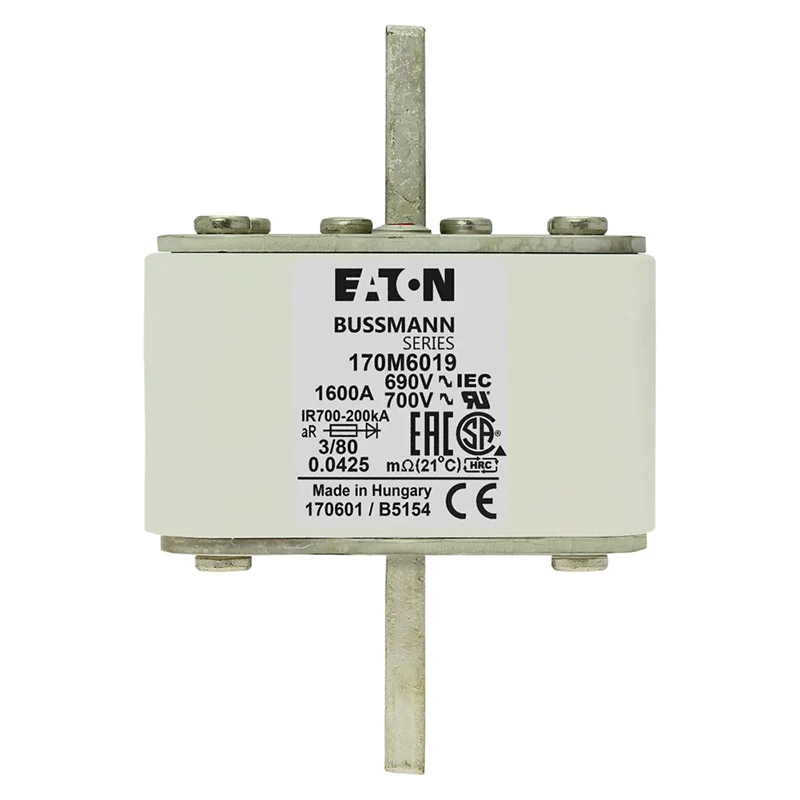 170M6019(1).jpg