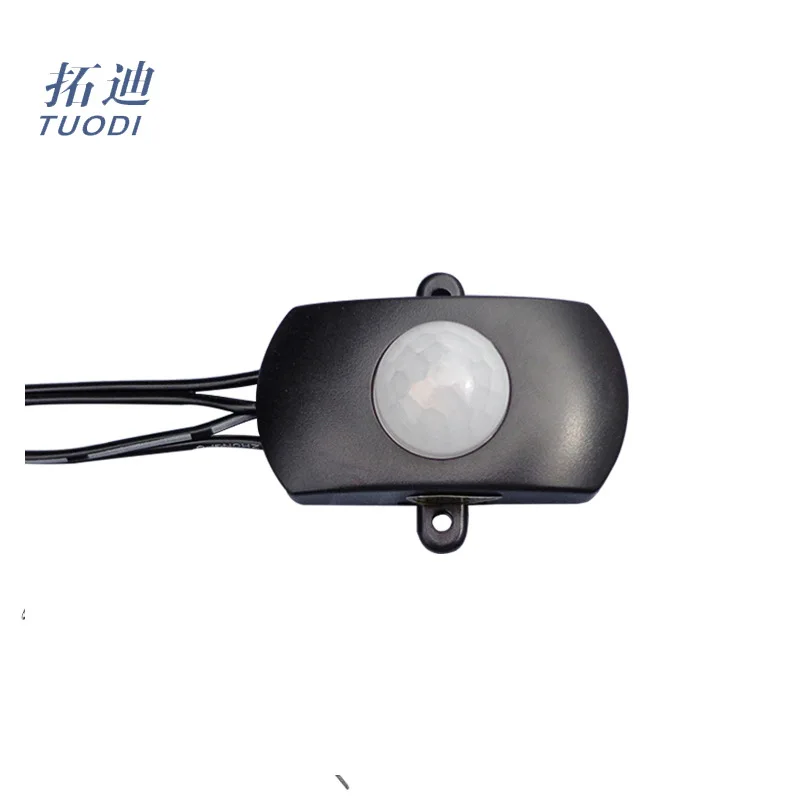 Tdl2023 12v Mini Small Stand Alone Long Range Human Infrared Pir