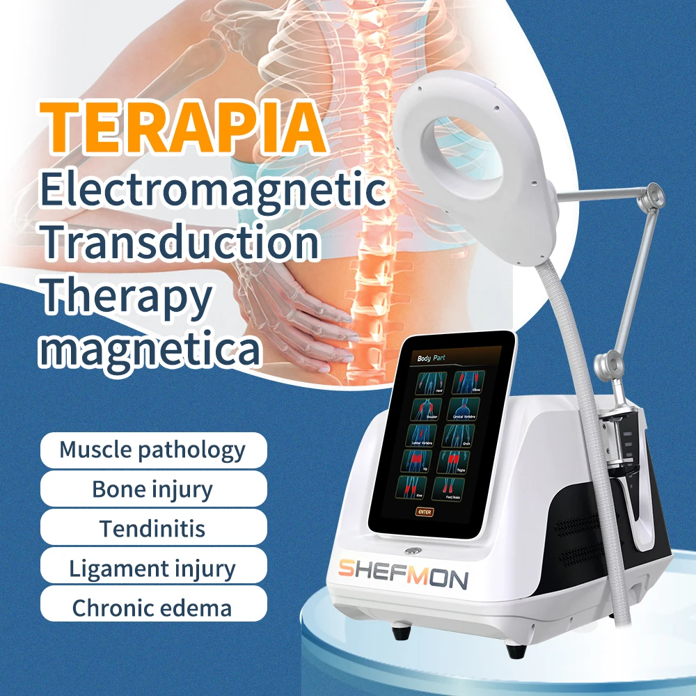 Oem Pmst Neo Physio Pulse Nirs Therapy Pemf