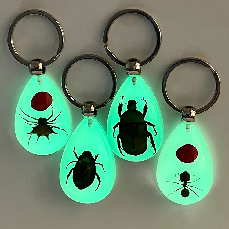 IVR Factory Cool Insect Keychain  Real Spider Luminous Keychain for Boys