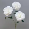 Big martin-white-76cm