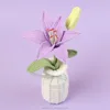 Púrpura