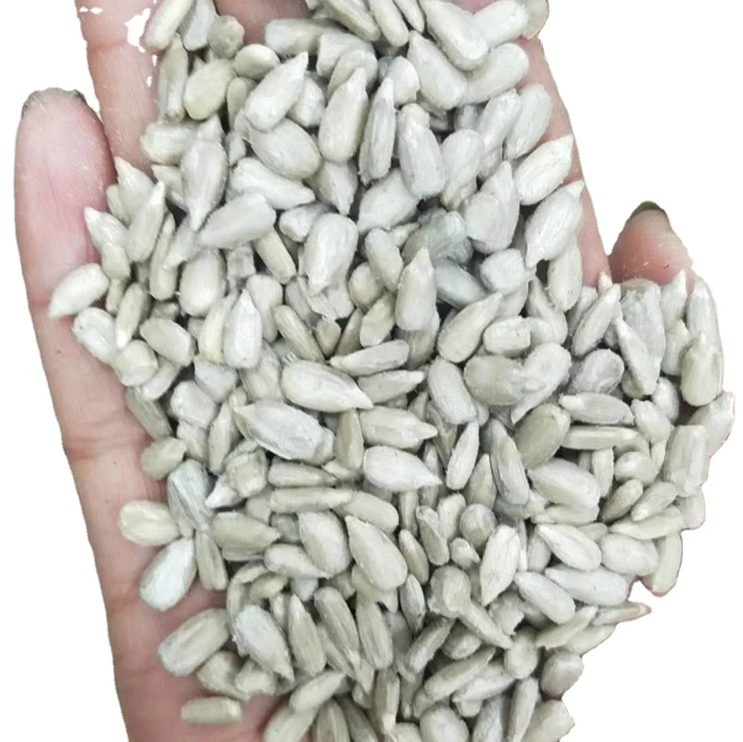 Wholesale price natural new crop sunflower seeds sunflower kernels in bulk from China Inner Mongolia