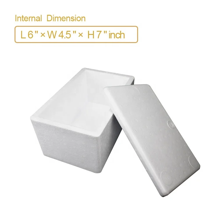 9L Customized Cooler Styrofoam Box for Ice L W H(cm)