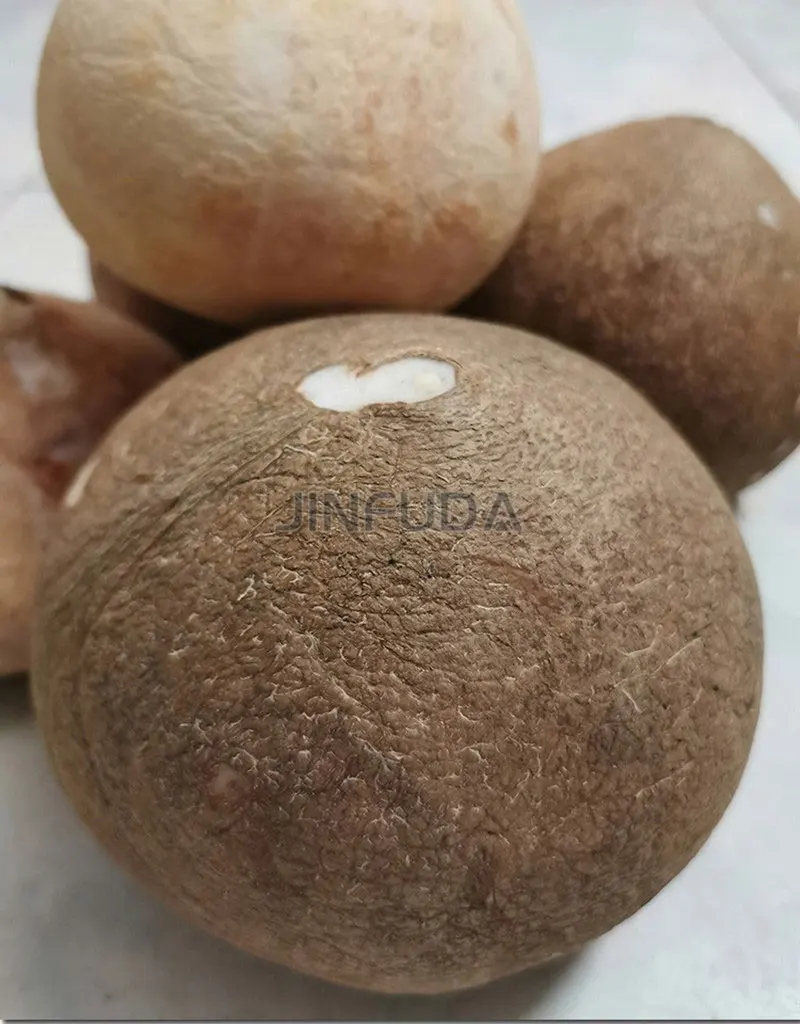 ココナッツ殻破砕機ココナッツ殻茶色ココナッツ加工機| Alibaba.com