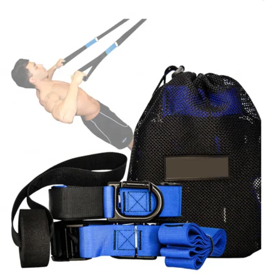 Anoopsyche Bodyweight Fitness Resistance Trainer Kit - Workout Straps & Weights