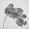 10-head display orchid-1 blue stem