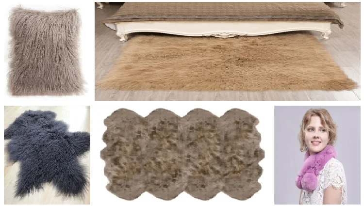 dog bed