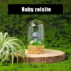 Ruby zoisite