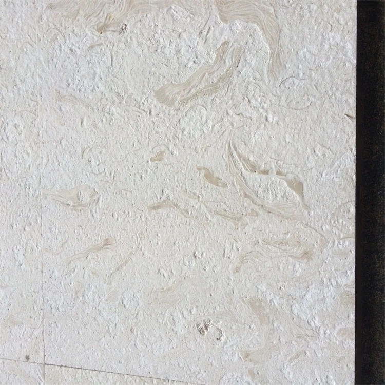 Factory Wholesale Customized Limestone French Shell  White Limestone Texture Limestone Tile