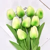 สีเขียวอ่อน
