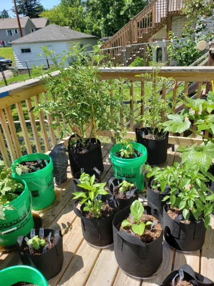 1 2 3 5 10 15 20 Gallon Grow Bag Planting Vegetables Planter Tree Seeding Pots Flower Pot Fabric Plant Grow Bags Hd6cfe5f5002f4f59adfac81109556d4aL