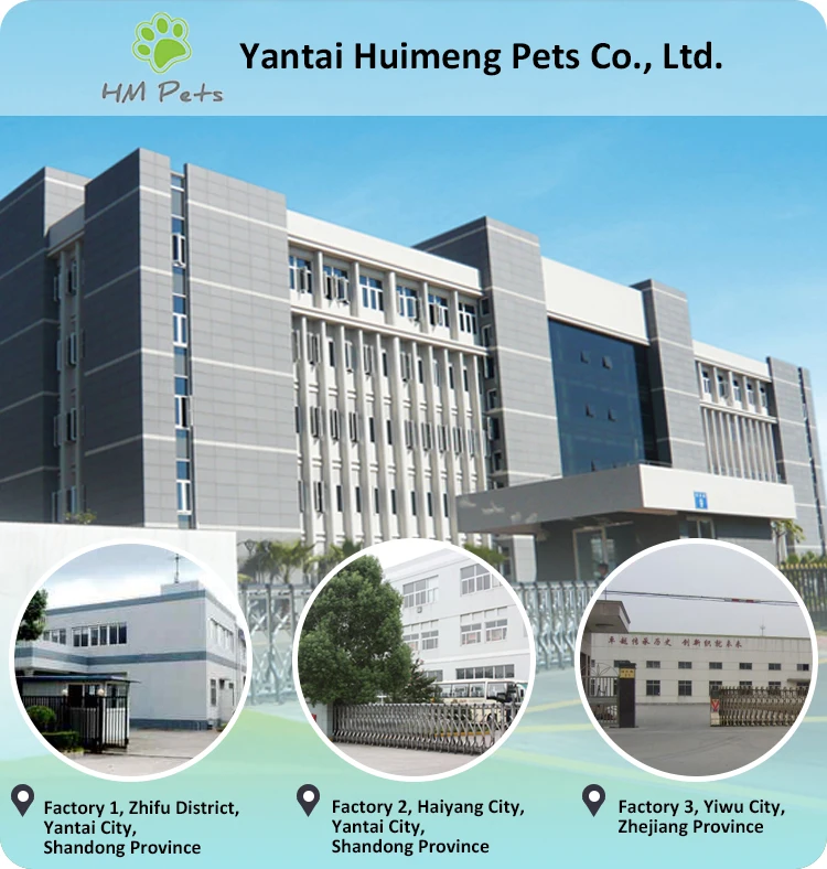 Designer Simple Comfortable Portable Elevated Dog Mat Bed With Sliding