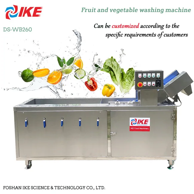 IKE Electric Cleaning Machine for Leaf Vegetable and Fruit