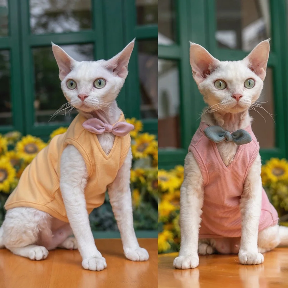 Spring Hairless Cat Clothes For Sphinx Cornish Deven Rex Cat Shirt Tie Dye Designer  Cat Hoodie for Small Dogs Cat Pet Clothing _ - AliExpress Mobile