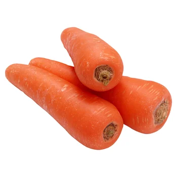 Fresh carrot from China newest harvesting wholesale carrots price per ton