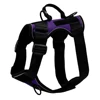 Vivid Purple