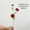 fiore selvatico [viola-rosso]