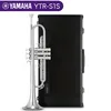 Ytr-s1s (silver)