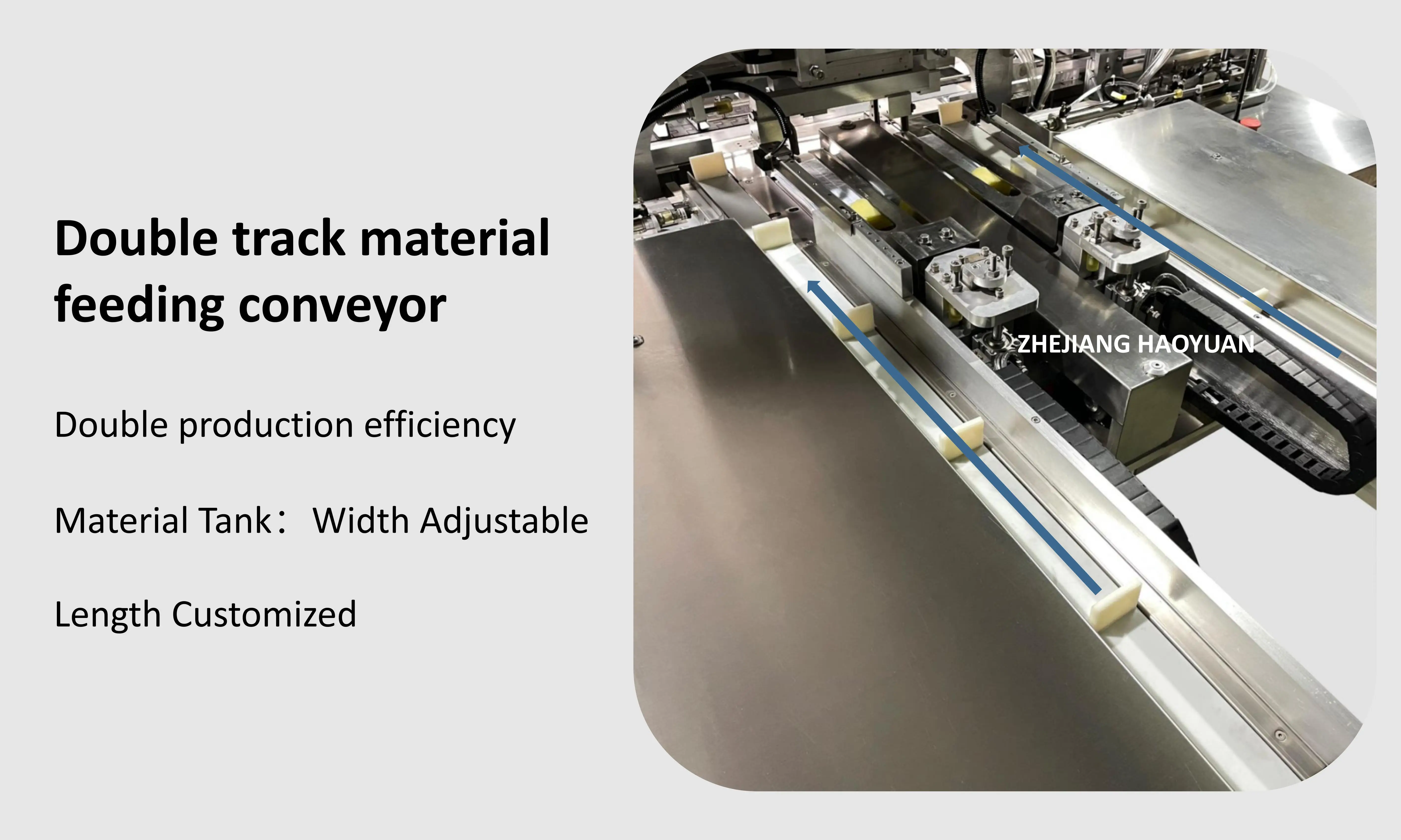 HY-200  High Quality Snack Premade Pouch Bag Filling and Sealing Packing Machine Biscuit Cookies Bag in Bag Packing Machine supplier