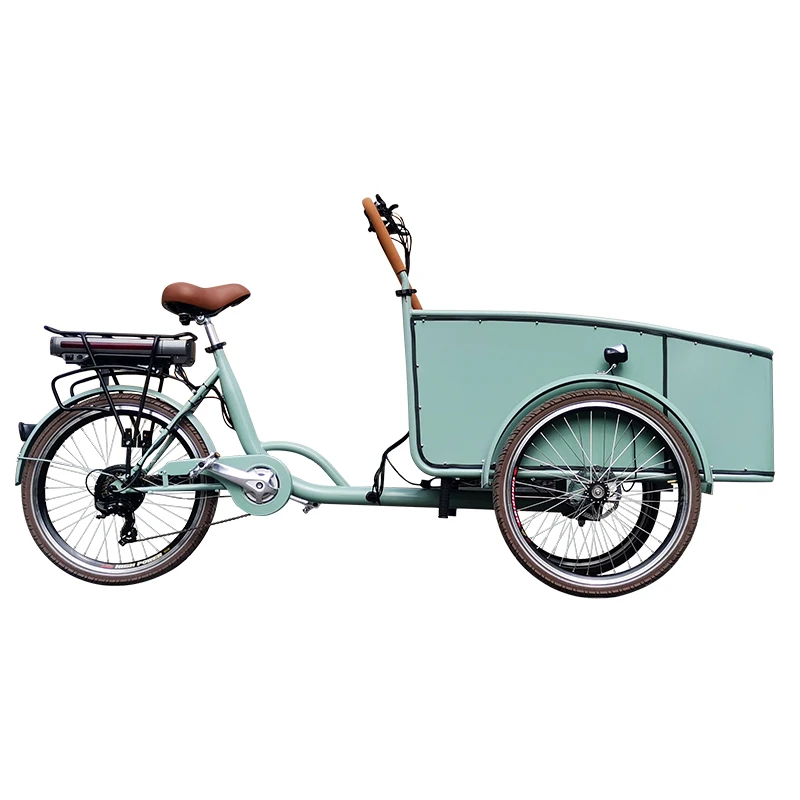 passenger trike