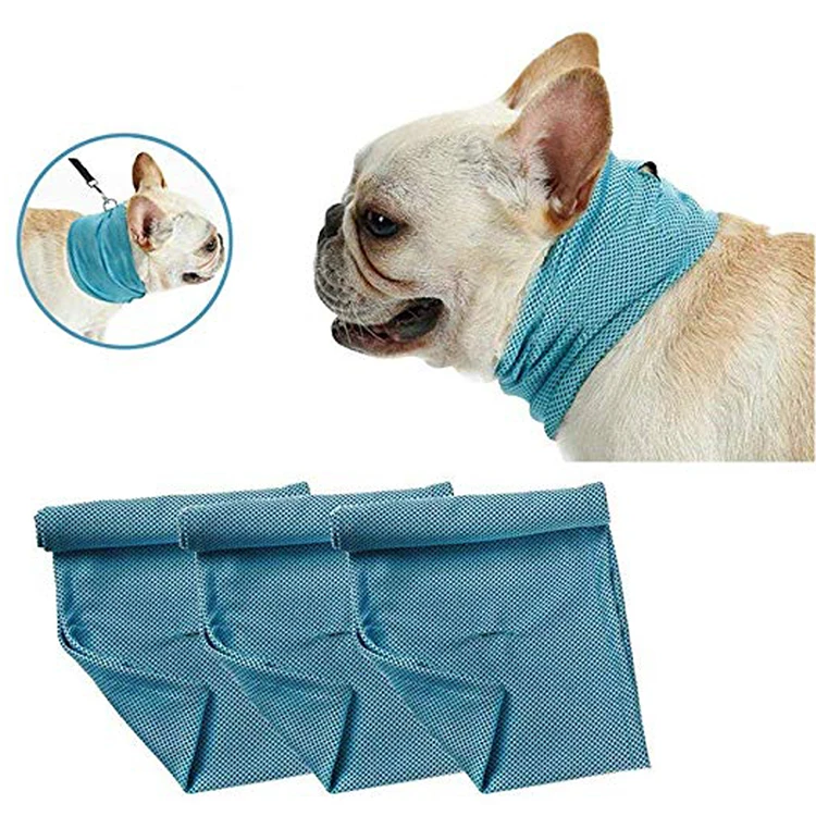 Small Cooling Dog Collar