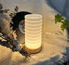 White/29cm