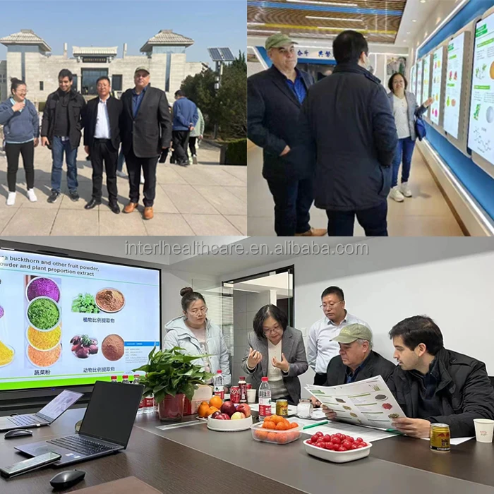 Ausreson Food Grade Capsaicin Additive Cayenne Pepper Extract Powder Price 99% Water Soluble Pure Capsaicin