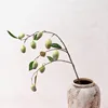 A green branch