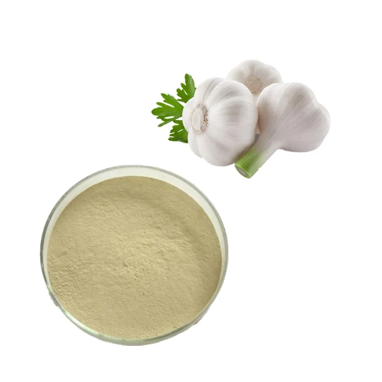 Allicin powder manufacturer Allicin powder manufacturer