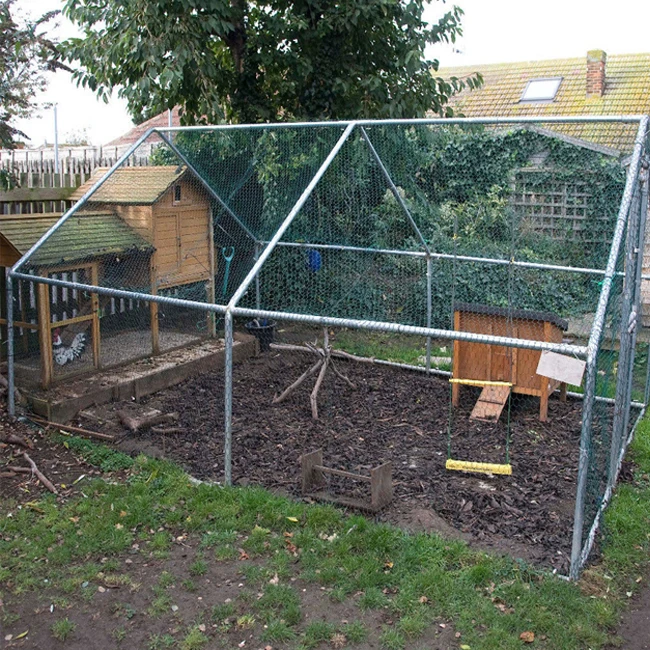 Chicken Coop with Triangle Roof