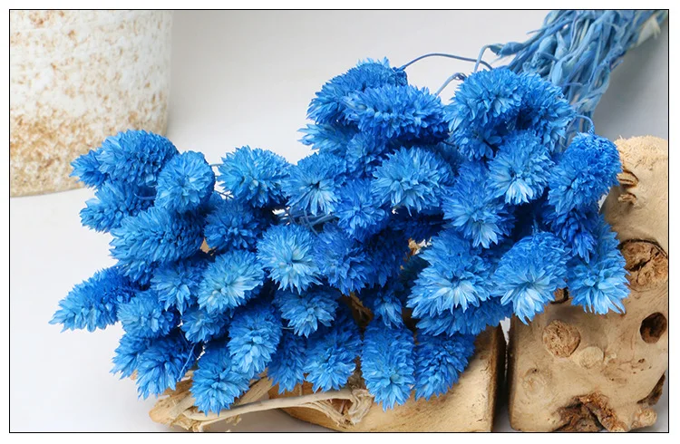 sz04208美丽真实保存的新鲜花朵保存天然珠宝草天然保存宝石草用于diy