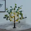 Eucalyptus Tree