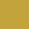 Yellowish Brown P008