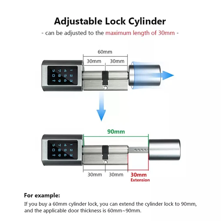 Smart Ttlock Cylinder Fingerprint Door Lock Password Card OTP Doors Handle with Locks & Keys Digital Cerradura Inteligente