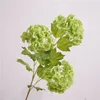 Film snowball-green