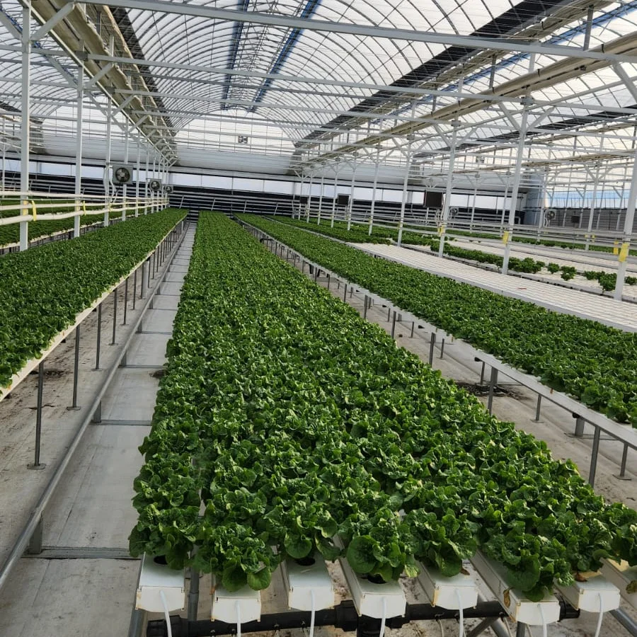 Indoor Nft Channels Garden Hydroponics Growing System Gutter Moving