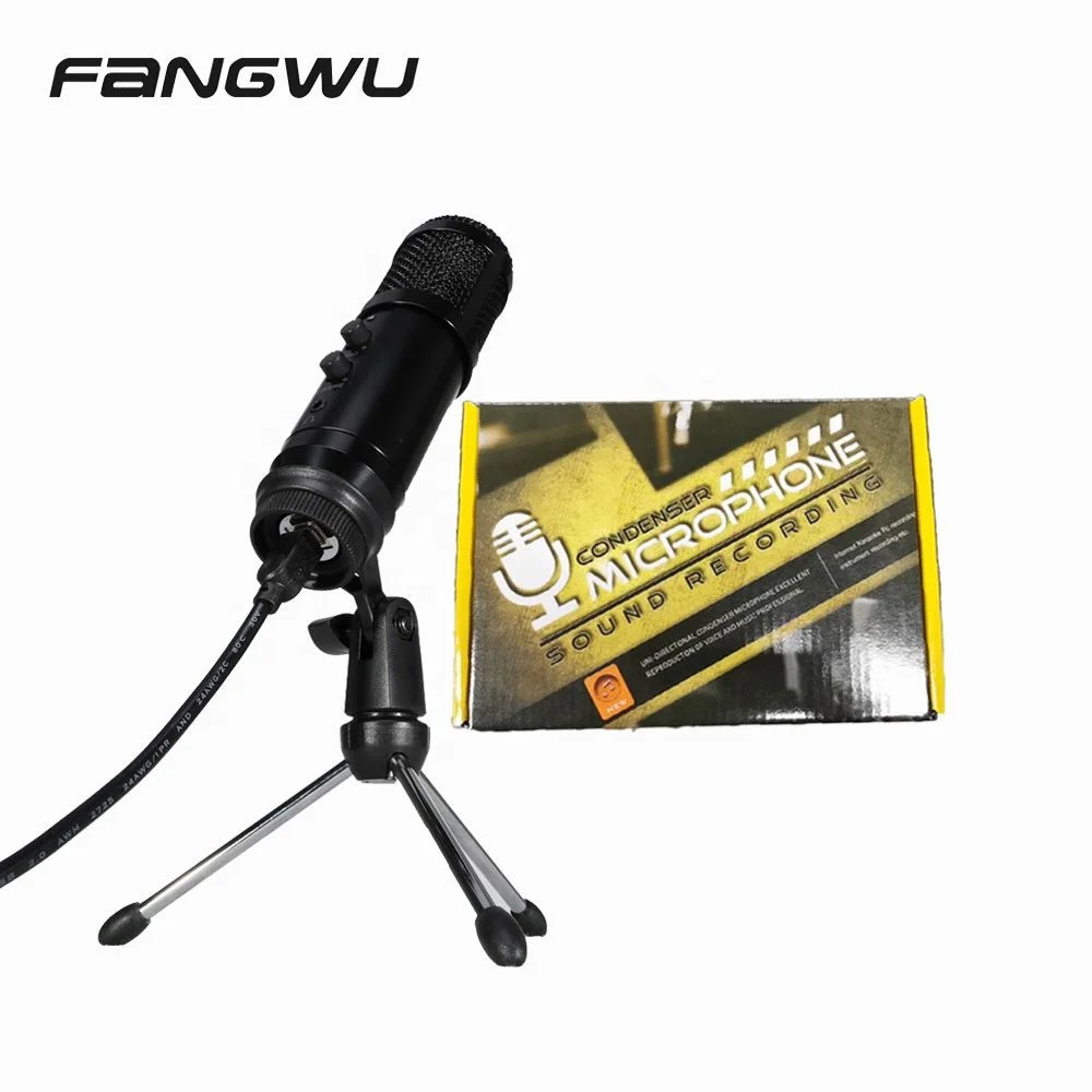 Fangwu China Mics of Studio Vocal Wired Mic
