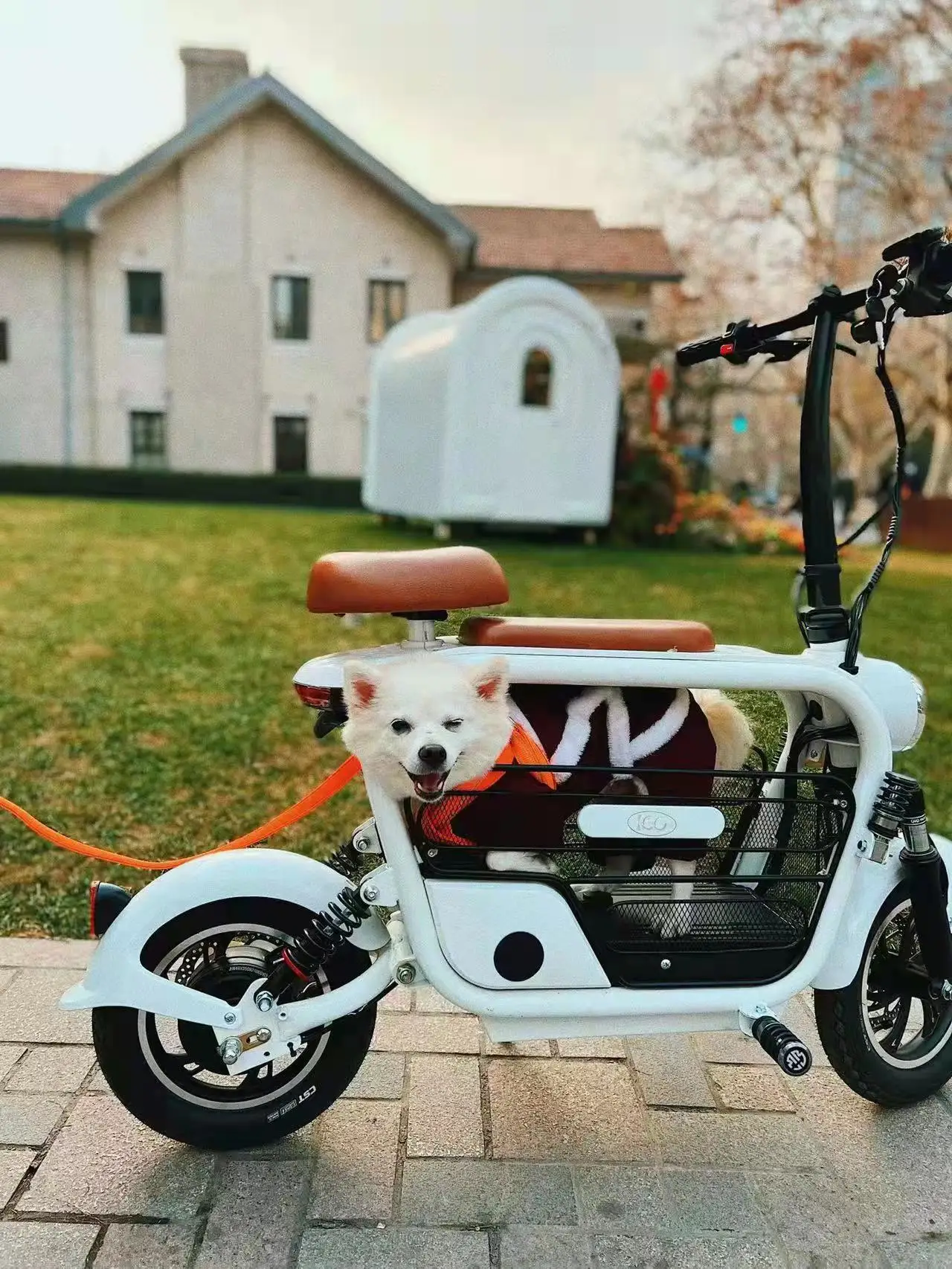 Pet Stroller Electric Scooter with Dog Carrier - Waterproof, Lightweight, and Portable Two-Wheel Travel Solution Pet Stroller Electric Scooter with Dog Carrier - Waterproof, Lightweight, and Portable Two-Wheel Travel Solution