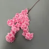 rosa 2