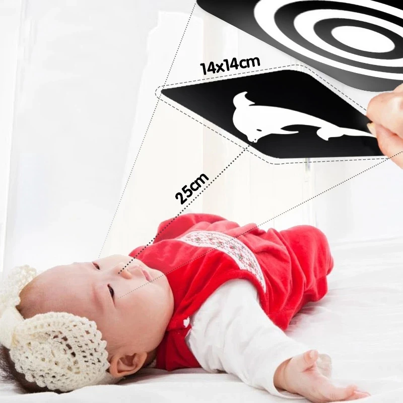 bébé montessori jouets noir blanc flash cartes enfants sensoriel